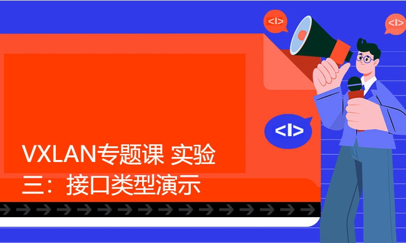 华为网络工程师HCIE培训Datacom学习115-VXLAN专题课 实验三：接口类型演示