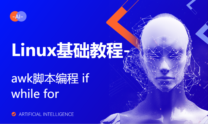 Linux基础教程-awk脚本编程 if while for