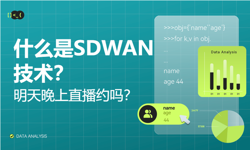 什么是SDWAN技术？明天晚上直播约吗？