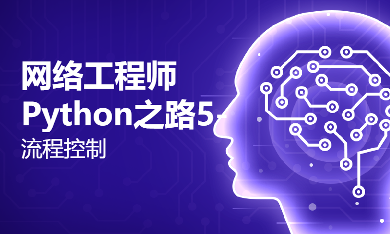 网络工程师Python之路5-流程控制-WOLFLAB杨广成带你0基础学习