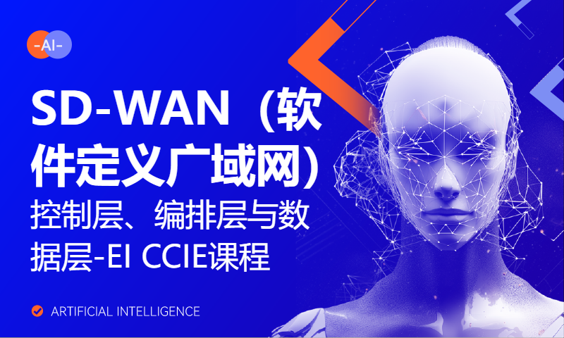 SD-WAN（软件定义广域网）控制层、编排层与数据层-EI CCIE课程