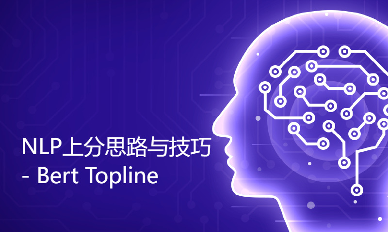 NLP上分思路与技巧 - Bert Topline