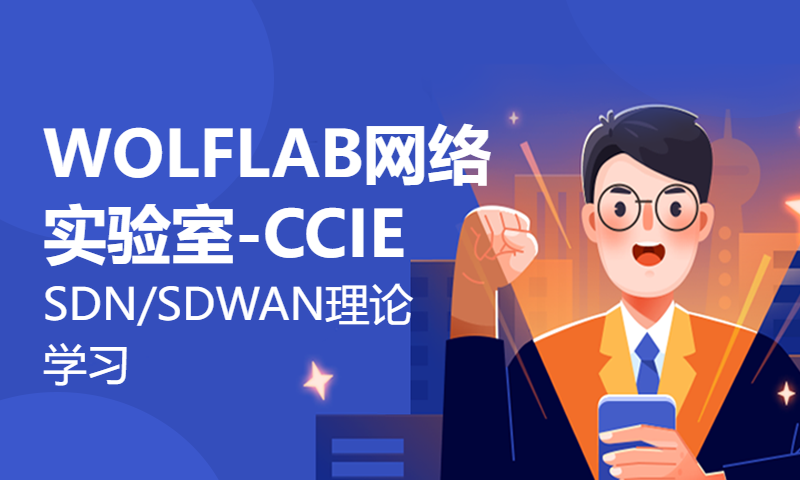 WOLFLAB网络实验室-CCIE SDN/SDWAN理论学习