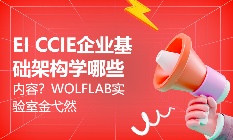 EI CCIE企业基础架构学哪些内容？WOLFLAB实验室金弋然