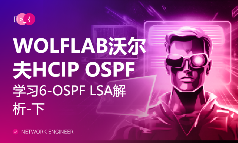 WOLFLAB沃尔夫HCIP OSPF学习6-OSPF LSA解析-下