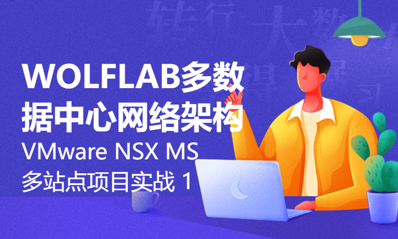 WOLFLAB多数据中心网络架构-VMware NSX MS多站点项目实战 1 基础组件规划