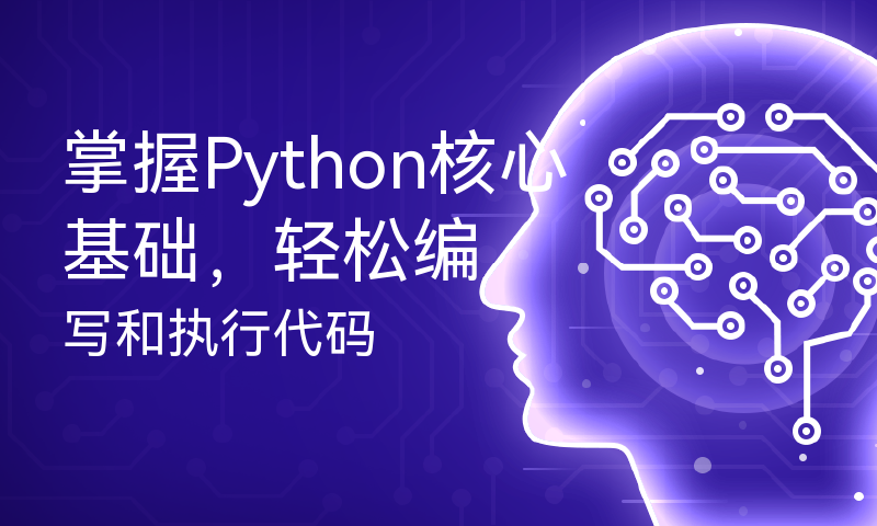 掌握Python核心基础，轻松编写和执行代码