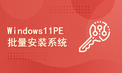 windows 11PE应用实践