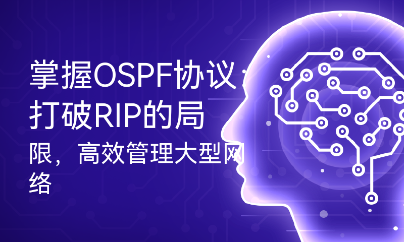 掌握OSPF协议：打破RIP的局限，高效管理大型网络