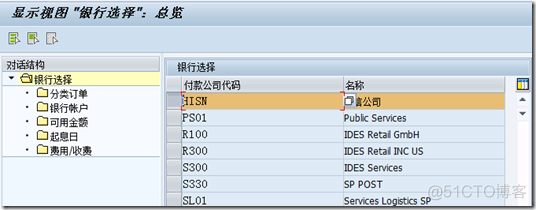 SAP 自动付款的配置_ERP_08