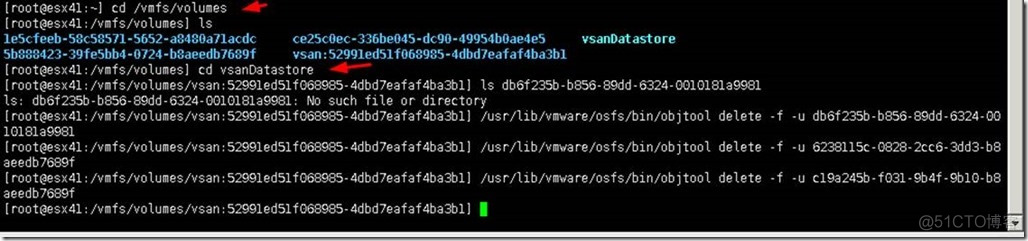 删除vSAN中不可访问对象的方法_不可访问对象_05