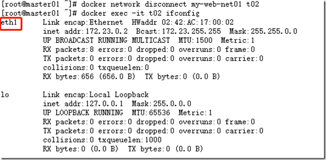 Docker 网络之bridge模式_云计算_03