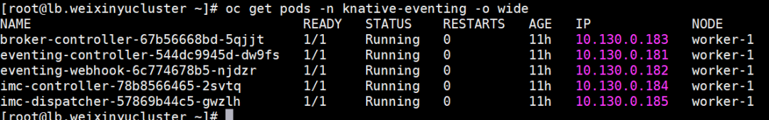 新一代Serverless平台: Knative在OpenShift上的实践1_java_13