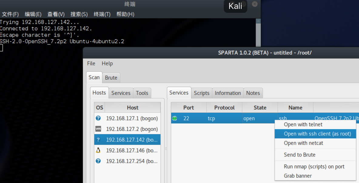 Kali渗/透测试工具库（一）sprata--信息收集扫描爆破集成_kali_08