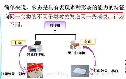 java宠物店多态源代码_java_02