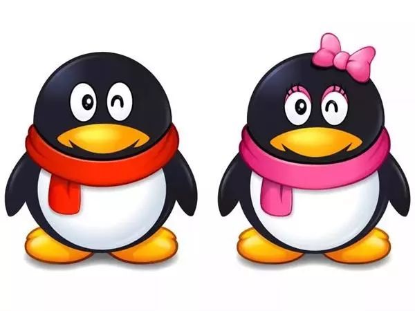 QQ 为什么用企鹅形象？和 Linux 企鹅之间有关系么？_java_02