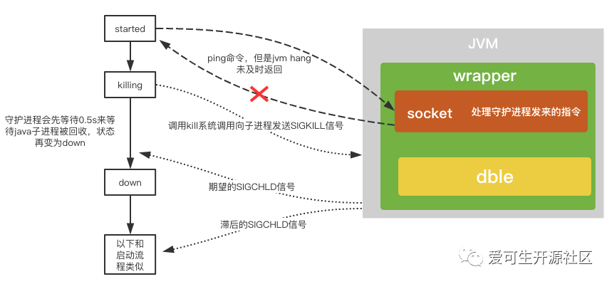 分布式 | wrapper 和 dble 之间的那些事_java_02