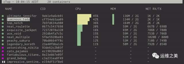 Docker容器状态命令行工具——Ctop_java