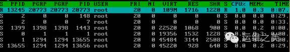 一款比top强悍好用的进程管理监控工具_java_07