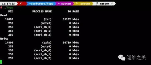 Linux下查看进程IO工具iopp_java