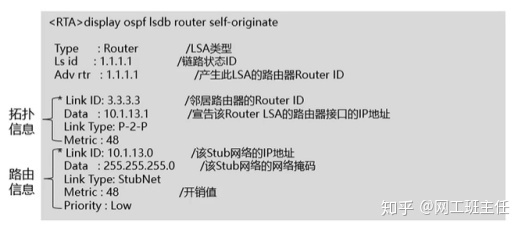 【零基础收藏必备】OSPF域内路由_java_02