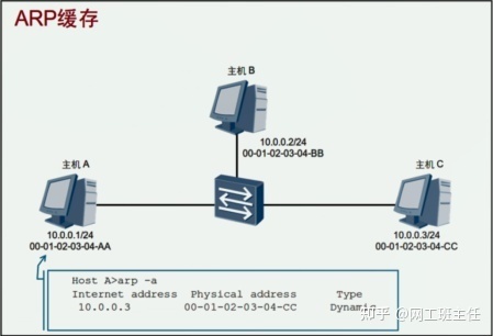 「网工小白必备」全网最详细的网络基础之ARP协议_java_09