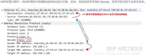 「网工小白必备」全网最详细的网络基础之ARP协议_java_05