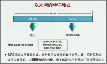 「网工小白必备」全网最详细的网络基础知识之数据链路层_java_10