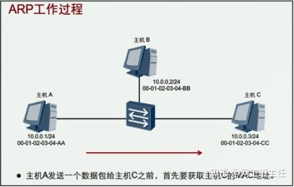 「网工小白必备」全网最详细的网络基础之ARP协议_java_06