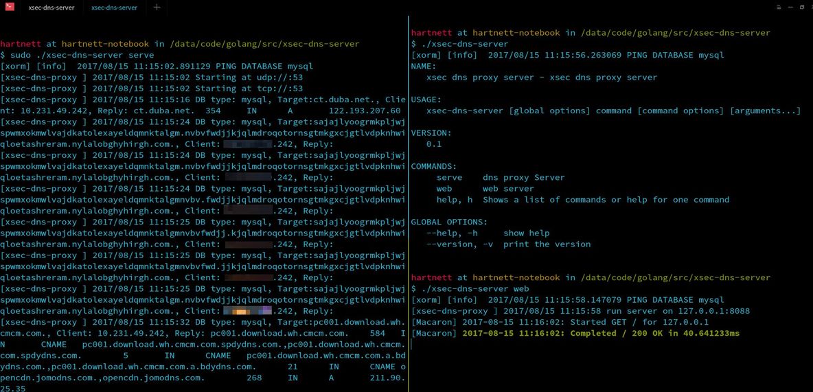 DNS代理服务器，支持记录log到数据库中_java