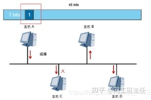 「网工小白必备」全网最详细的网络基础知识之数据链路层_java_14