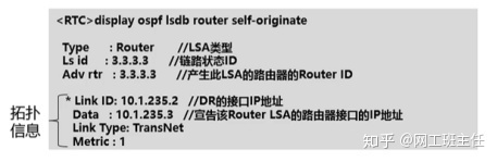 【零基础收藏必备】OSPF域内路由_java_04