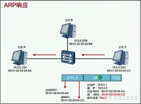 「网工小白必备」全网最详细的网络基础之ARP协议_java_08