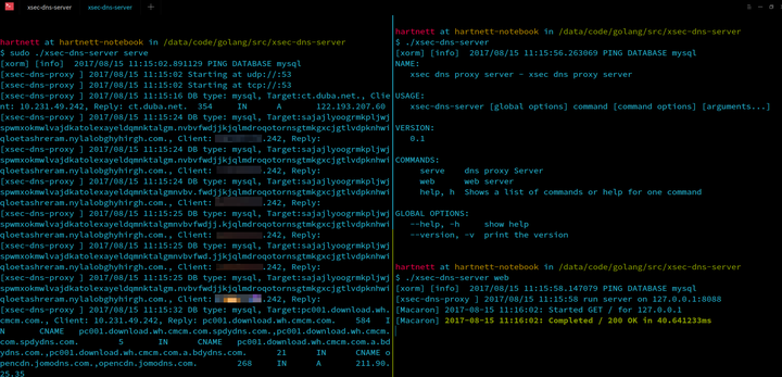 DNS代理服务器，支持记录log到数据库中_java_03