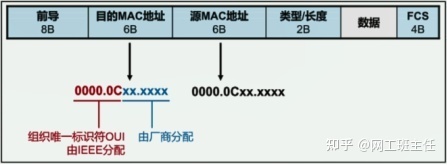 「网工小白必备」全网最详细的网络基础知识之数据链路层_java_11