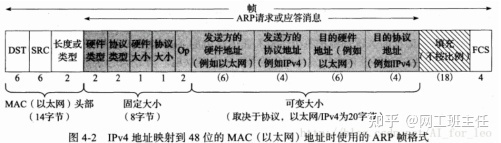 「网工小白必备」全网最详细的网络基础之ARP协议_java_03