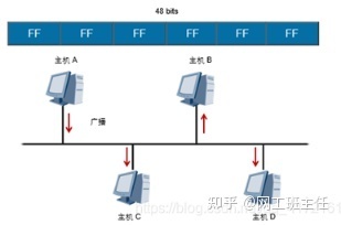 「网工小白必备」全网最详细的网络基础知识之数据链路层_java_13