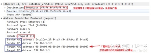 「网工小白必备」全网最详细的网络基础之ARP协议_java_04