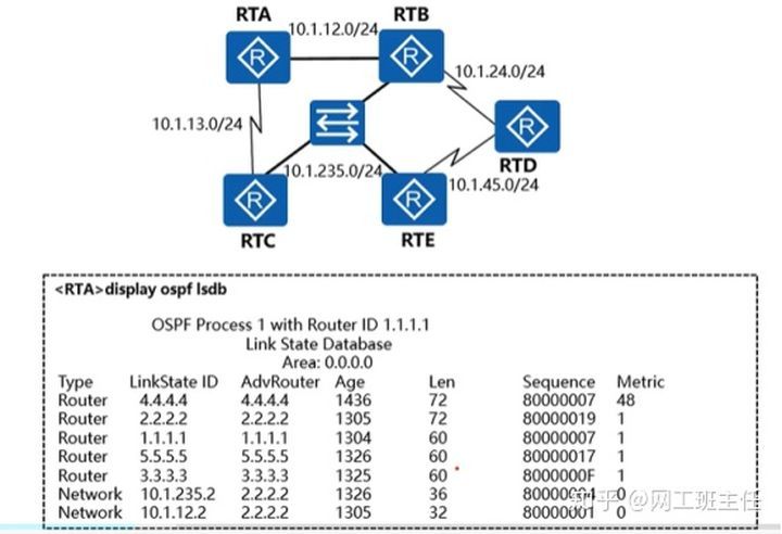 【零基础收藏必备】OSPF域内路由_java_07