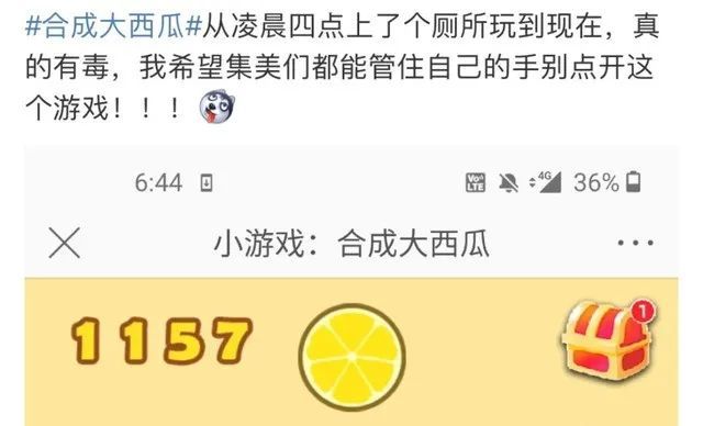 一夜爆火！这两天全网刷屏的“大西瓜”游戏到底是啥？_java_03