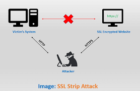 HTTP Strict Transport Security (HSTS) in ASP.NET C_java