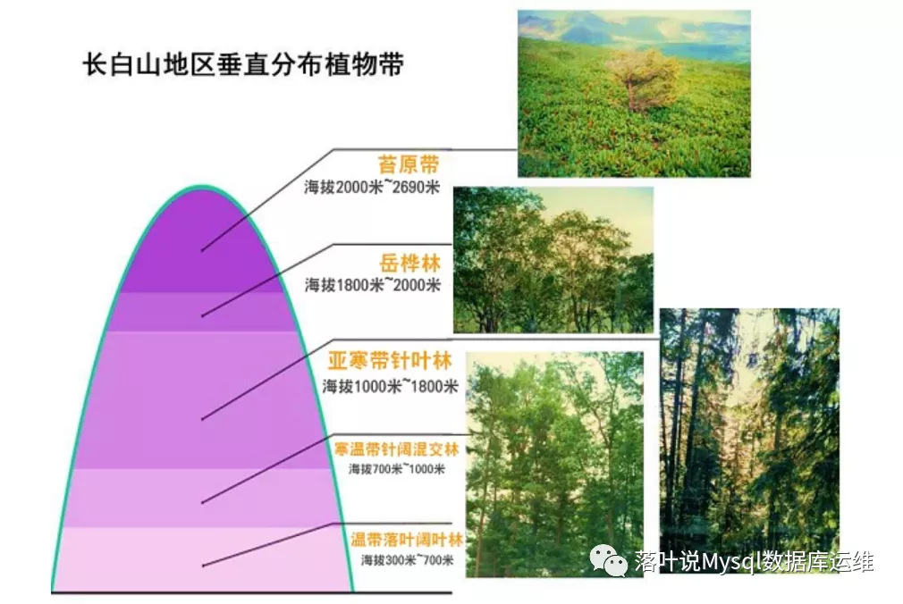 垂直植被类型分布图图片