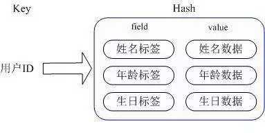 Redis五种数据结构_Redis