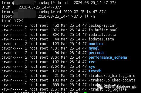 MySQL数据备份与恢复(二) -- xtrabackup工具_java_04