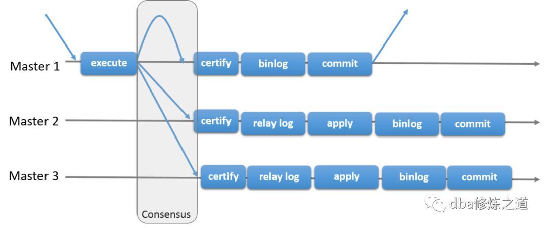 基础实战篇-Mysql group replication原理及快速搭建_java_03