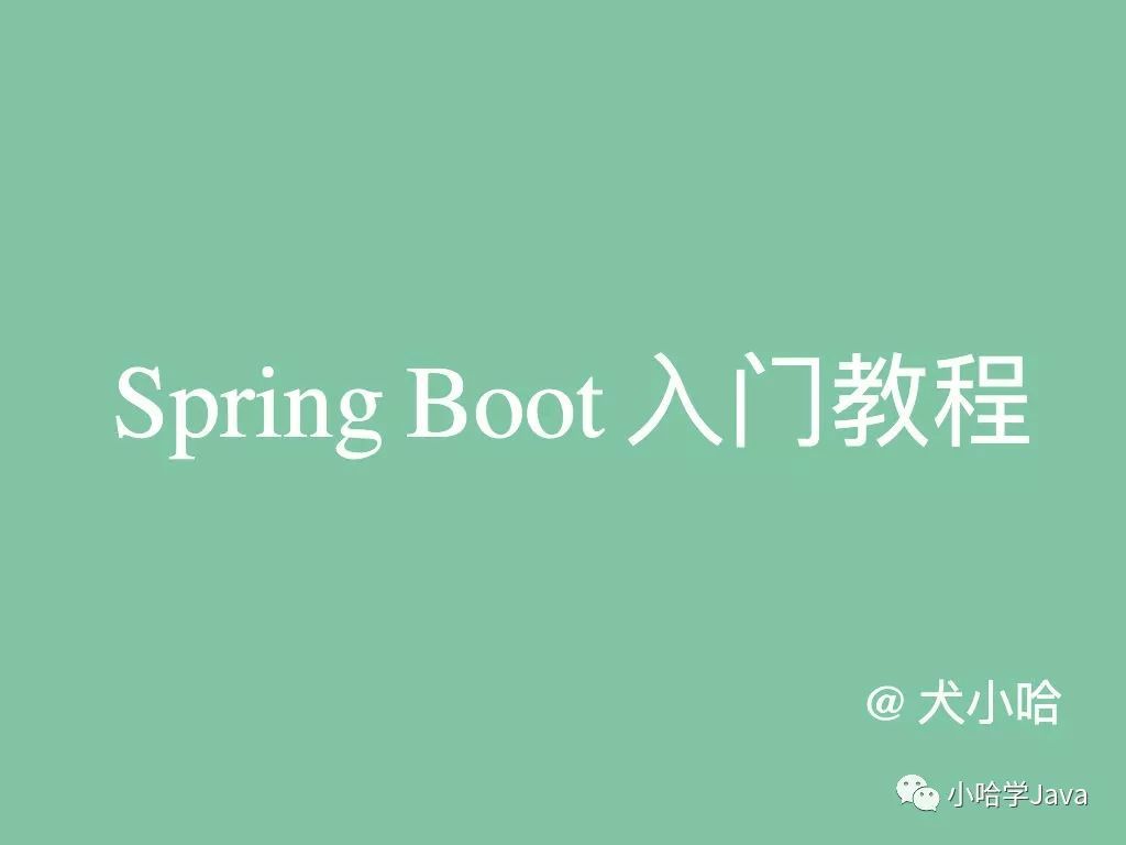 Spring Boot 入门? 看这篇就够啦 ！_java