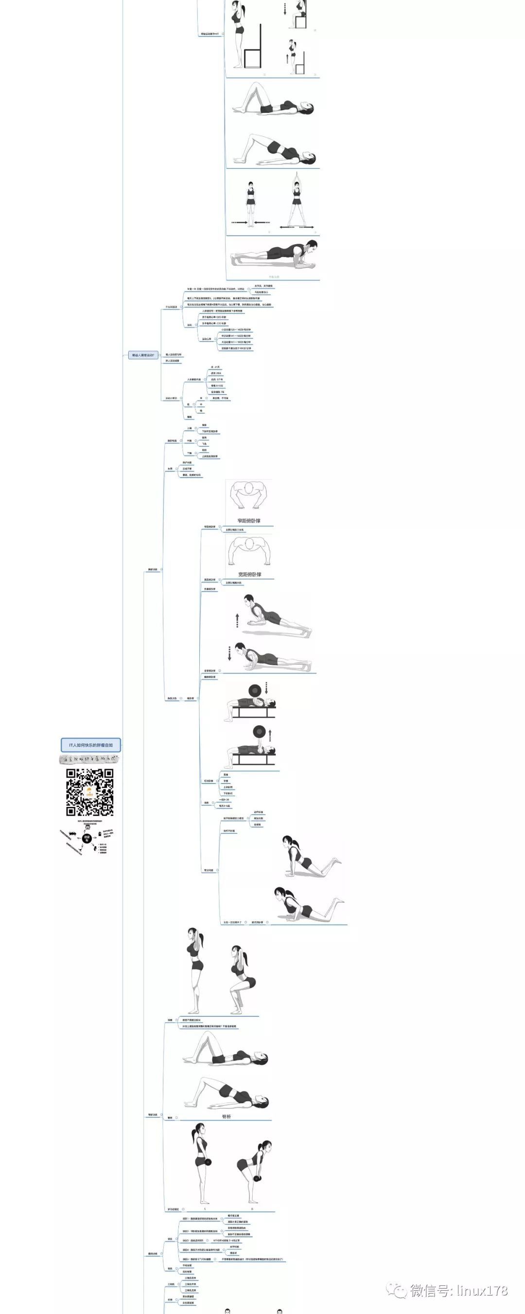 IT人如何快乐的胖瘦自如_java