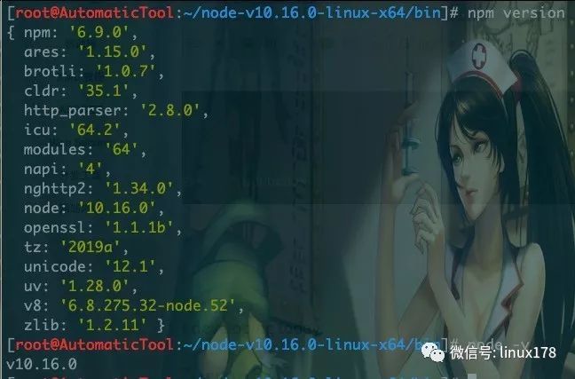 npm nodejs 经典安装问题_java_04