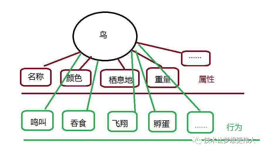 真的可以，用C语言实现面向对象编程OOP_C语言_02