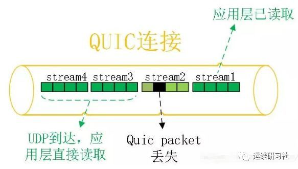 HTTP/3 初体验_java_02